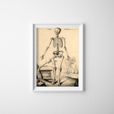 Poster Kostra Johna Fotherbyho
