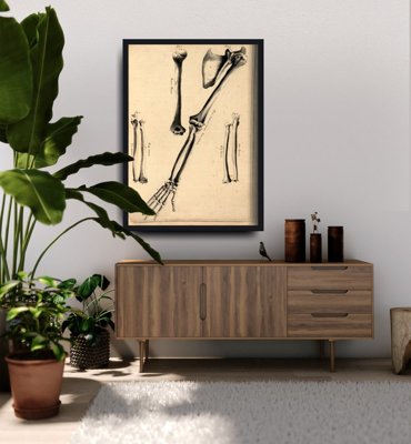 Poster Kosti rúk Johna Fotherbyho