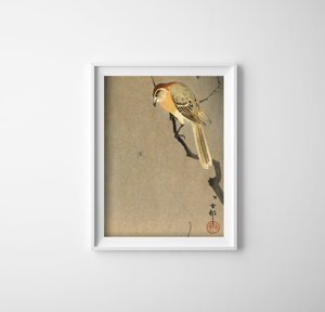 Plagát Vták a pavúk na konári od Ohary Koson