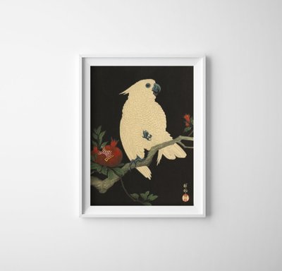 Poster Papagáj od Ohara Koson