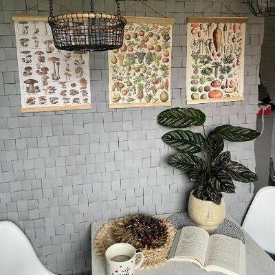 Poster Botanický plagát šampiňónových húb