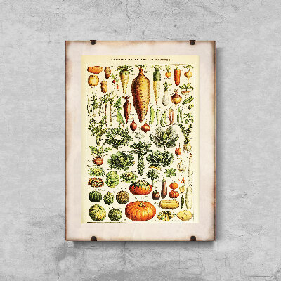 Poster na stenu Zemiaky Adolphe Millot