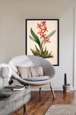 Poster na stenu Kvetinová potlač Epidendrum Vitellinum