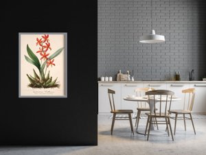 Poster na stenu Kvetinová potlač Epidendrum Vitellinum