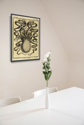 Poster Chobotnica Haeckel Ernst