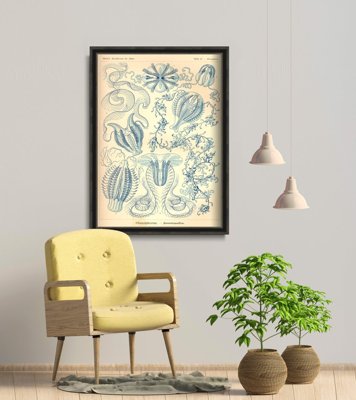 Retro plagát Ctnenophorae Ernst Haeckel