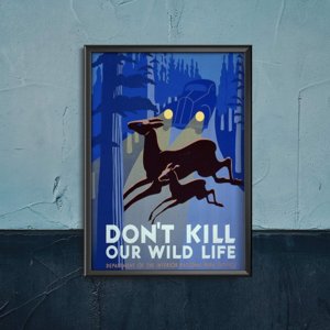 Plagát Don't Kill Wild Life
