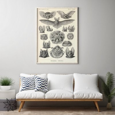 Poster Netopier