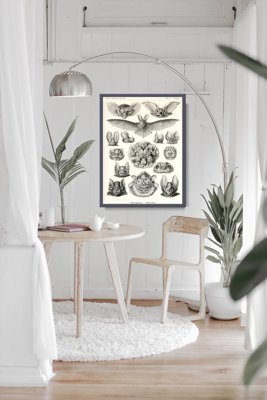 Poster Netopier