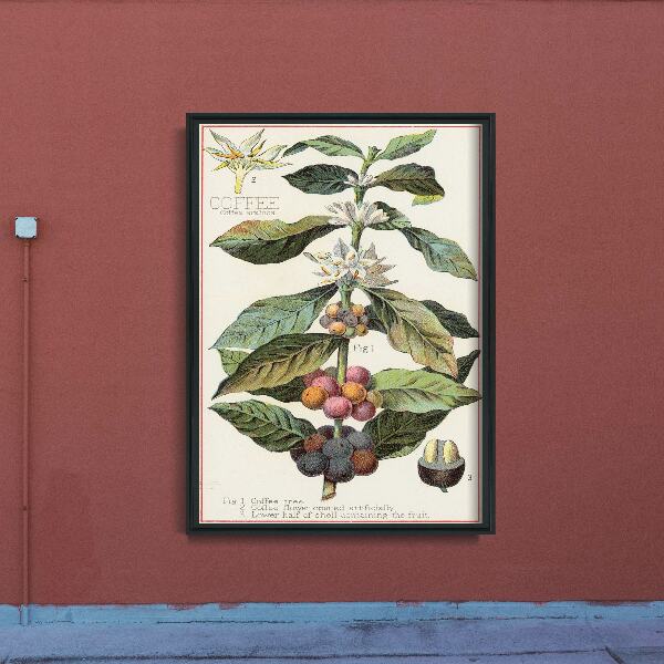 Poster na stenu Arabica Coffee Kitchen Print