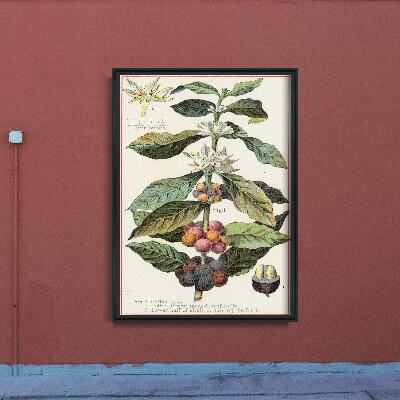 Poster na stenu Arabica Coffee Kitchen Print