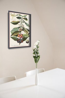 Poster na stenu Arabica Coffee Kitchen Print