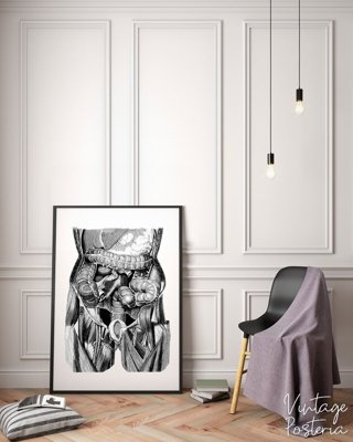 Poster na stenu Organ ilustrácie