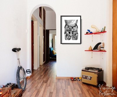 Poster na stenu Organ ilustrácie