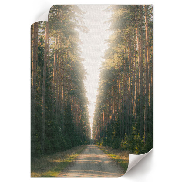 Retro plagát Lesná cesta