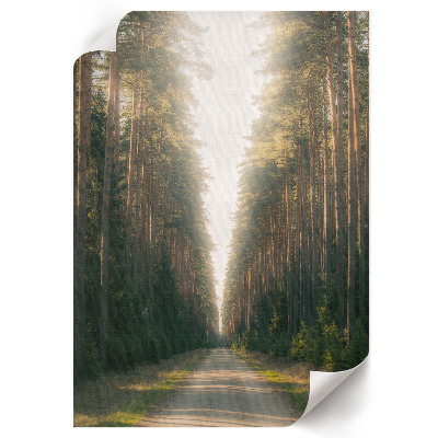 Retro plagát Lesná cesta