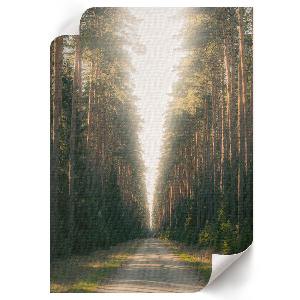 Retro plagát Lesná cesta