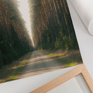 Retro plagát Lesná cesta