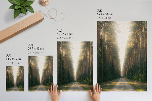 Retro plagát Lesná cesta