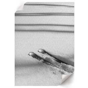 Retro plagát Lyže na snehu