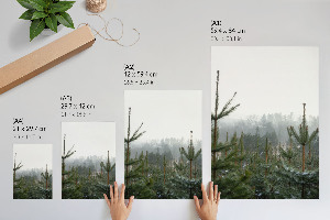 Plagát do izby Zelené ihličnany