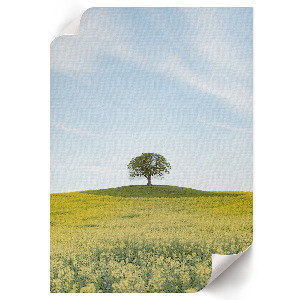 Poster na stenu s motívom osamelého stromu