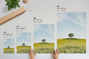 Poster na stenu Osamelý strom