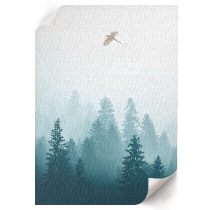 Poster na stenu Vták za letu
