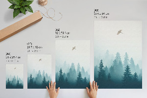 Poster na stenu Vták za letu