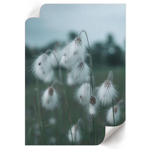 Plagát do obývačky Uši trávy