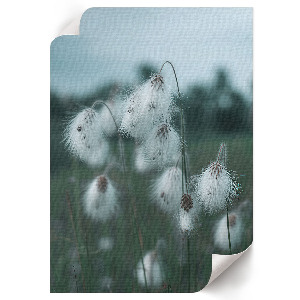 Plagát do obývačky Uši trávy