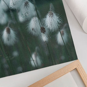 Plagát do obývačky Uši trávy