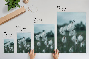 Plagát do obývačky Uši trávy