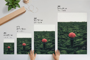 Plagát do obývačky Zelená krajina