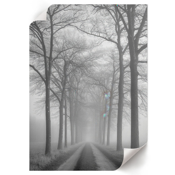 Poster na stenu Hmla na ceste