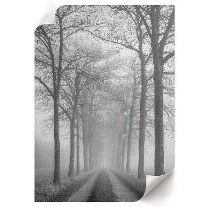 Poster na stenu Hmla na ceste