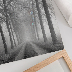 Poster na stenu Hmla na ceste