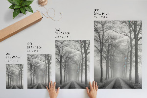 Poster na stenu Hmla na ceste