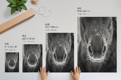 Poster na stenu Kôň a sneh