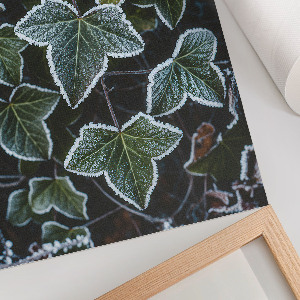 Poster na stenu Mrazivé listy