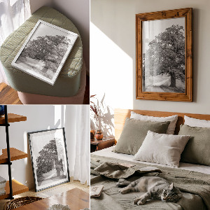 Retro plagát Monumentálny strom