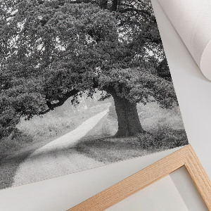 Retro plagát Monumentálny strom