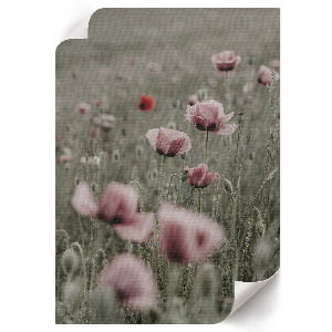 Plagát do izby Jemné maky