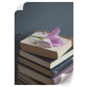 Poster na stenu Kvety a knihy