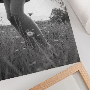 Plagát do obývačky Žena na lúke