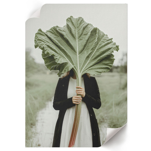 Poster na stenu Záhada rebarbory