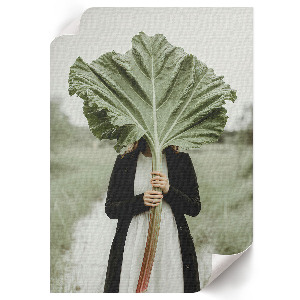 Poster na stenu Záhada rebarbory