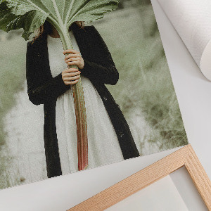 Poster na stenu Záhada rebarbory