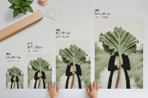 Poster na stenu Záhada rebarbory