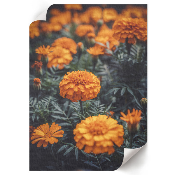 Poster na stenu Letná záhrada